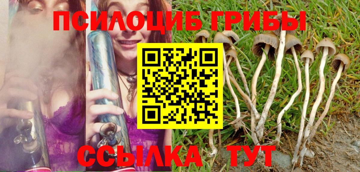 Псилоцибиновые грибы мухоморы Туапсе